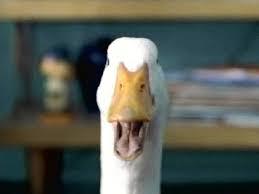 Image result for aflac duck