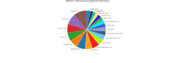 2018 Williams Financial Allocation by Sport