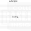 Adelphi 2019 Team Insights