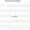 Pomona-Pitzer 2019 Team Insights