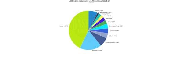LSU 2018 Expense by Sports