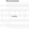 Shenandoah 2019 Team Roster Insights