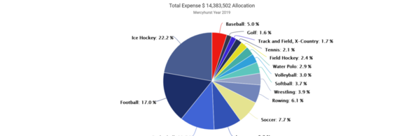 01-Mercyhurst 2019 Expense by Sport