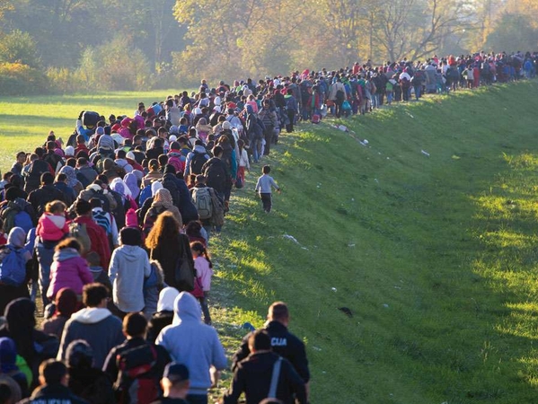 refugees-line-officials-Middle-East-Slovenia-Iraq-October-25-2015