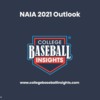 CBI-NAIA-2021-Outlook