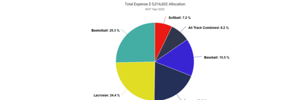 NYIT_2020_sport-expense